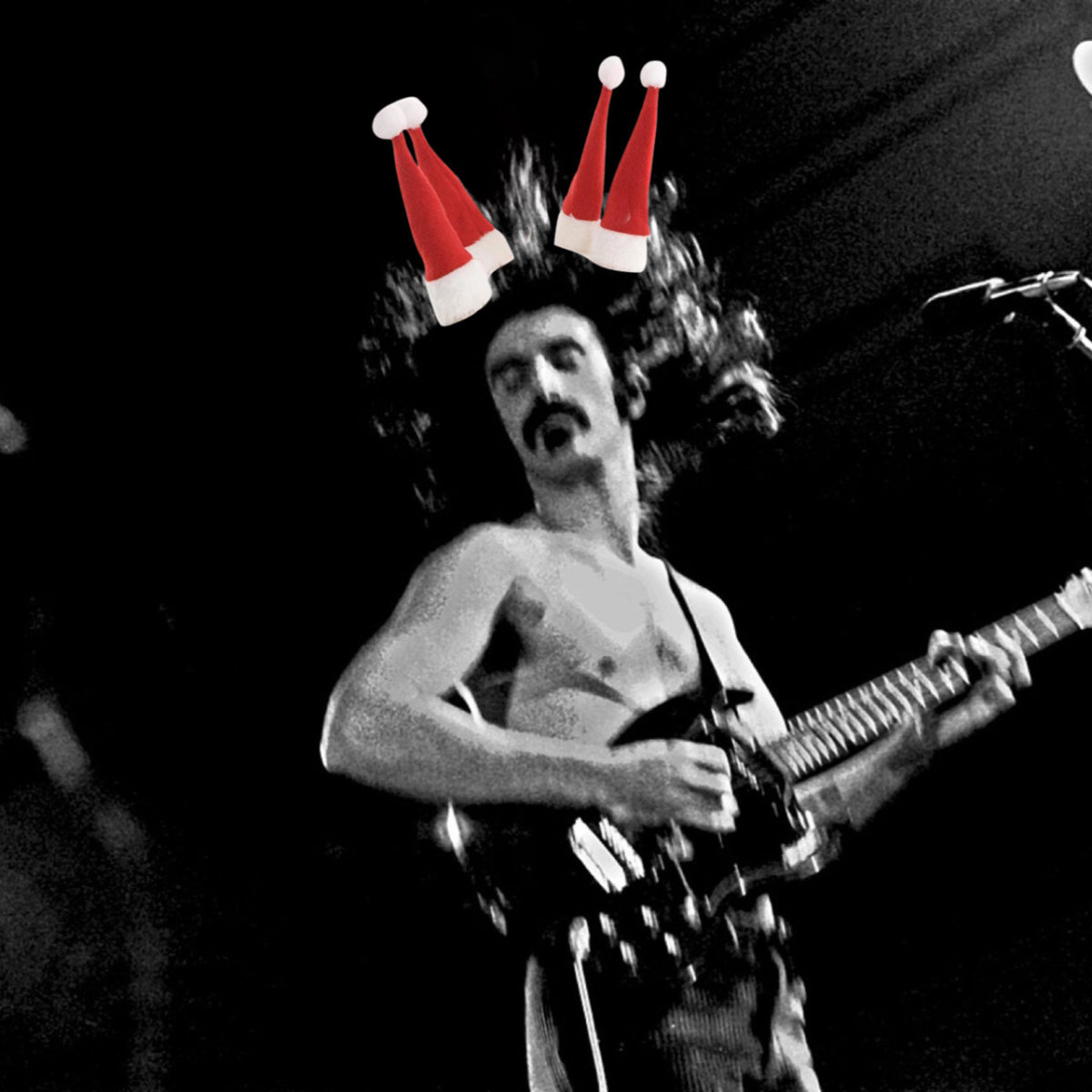 Zappa Noel